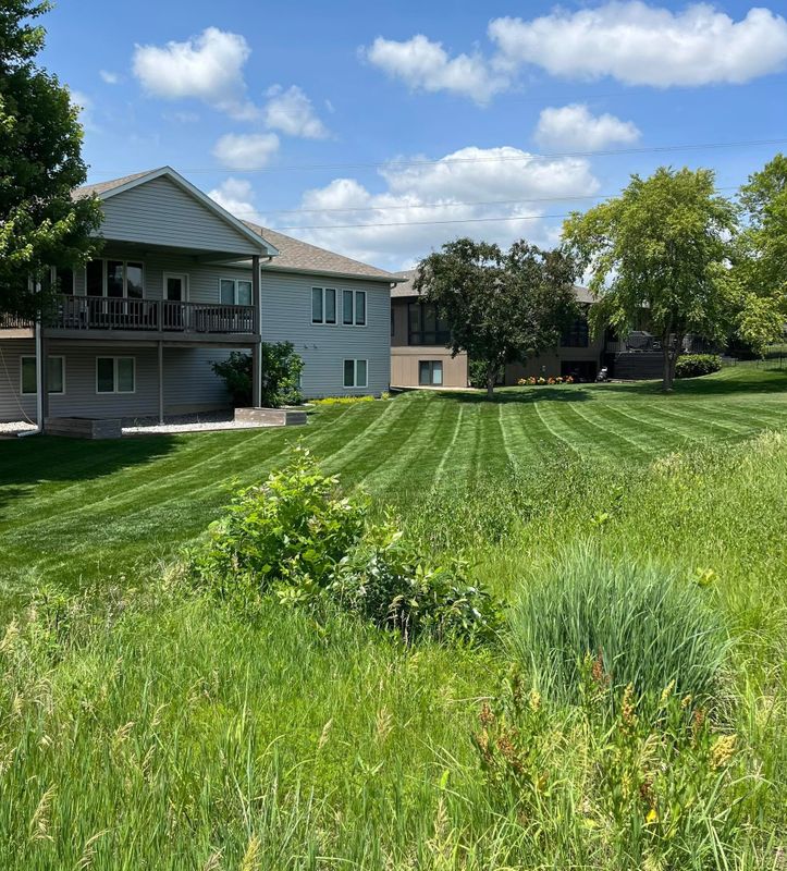 Lawn Maintenance