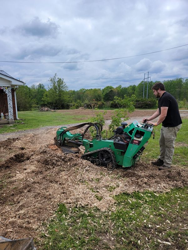 Stump grinding