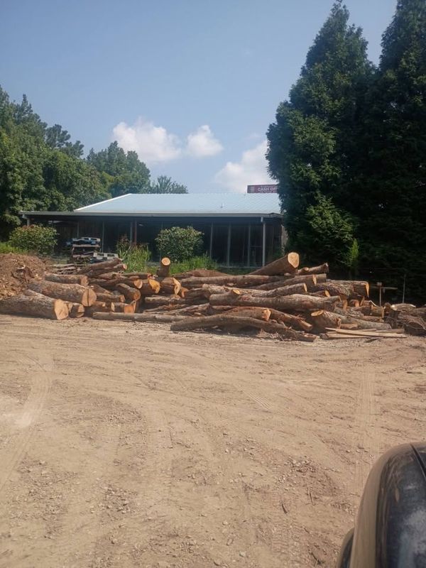 Firewood
