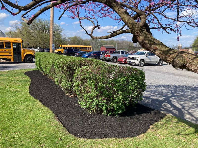 Landscape Design