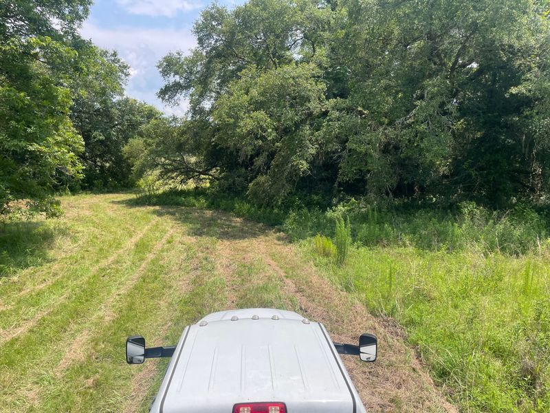 Land Clearing/ Forestry mulching gallery
