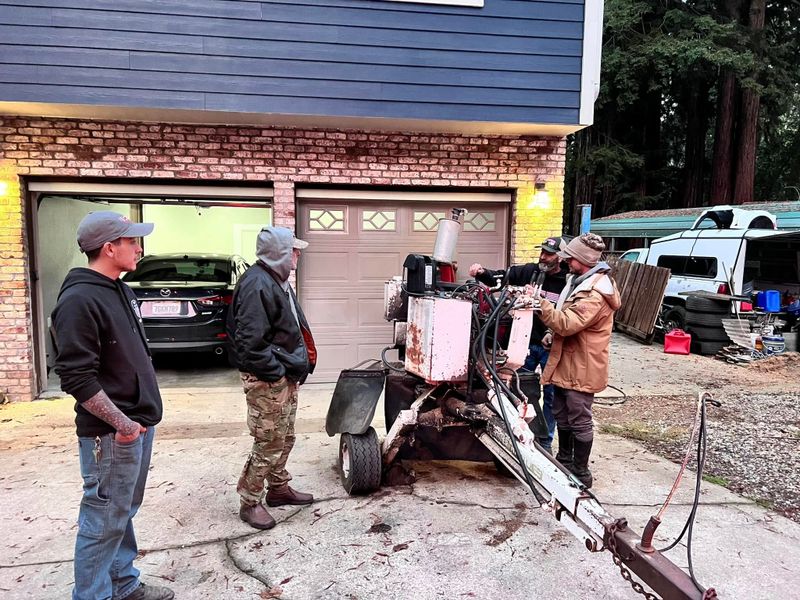 Stump Removal