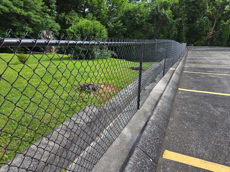Chain Link