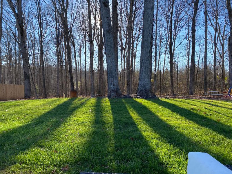 Hydroseeding gallery