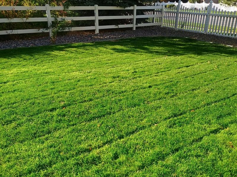 Lawn Maintenance