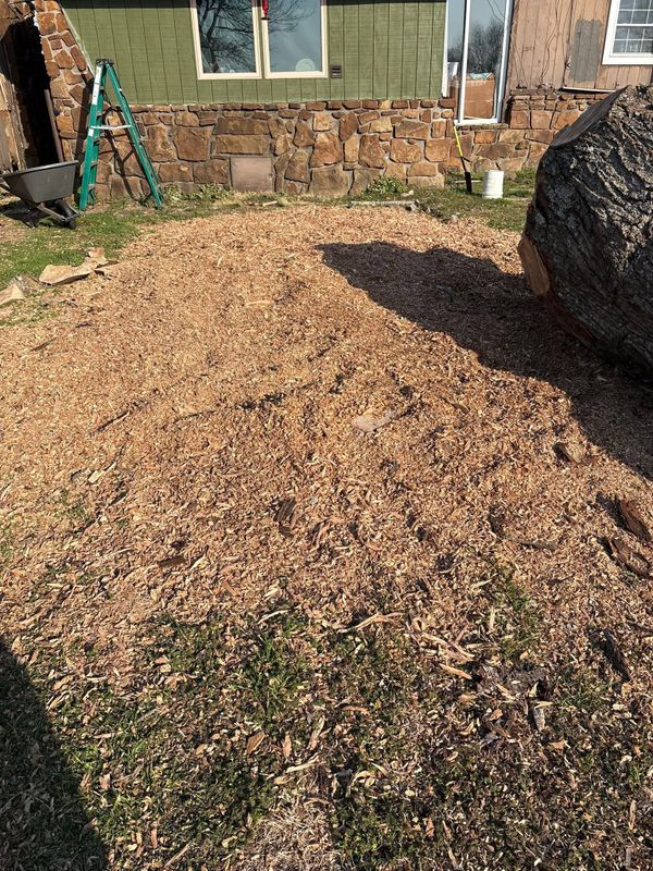 Stump Removal