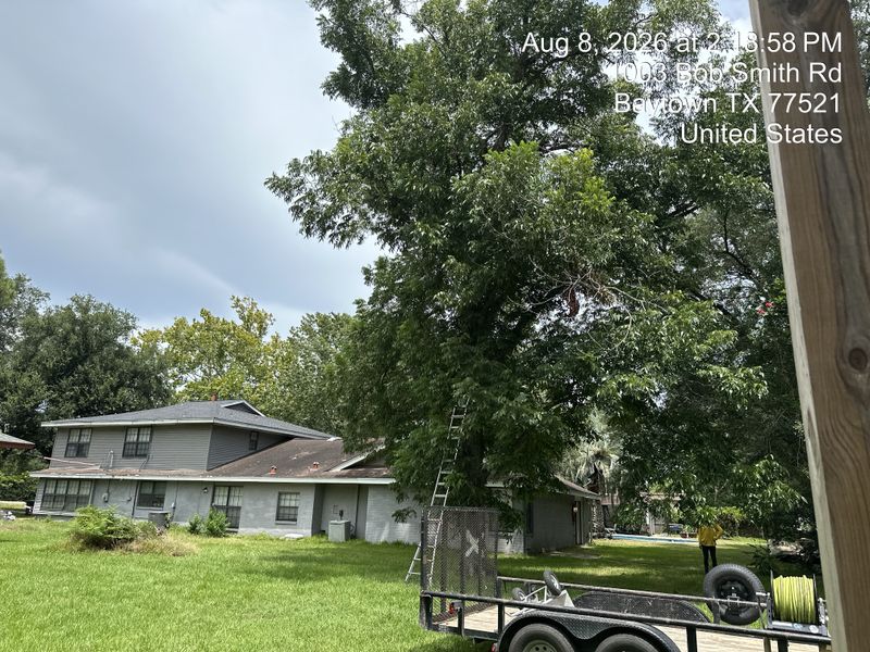 Tree trimming and removal