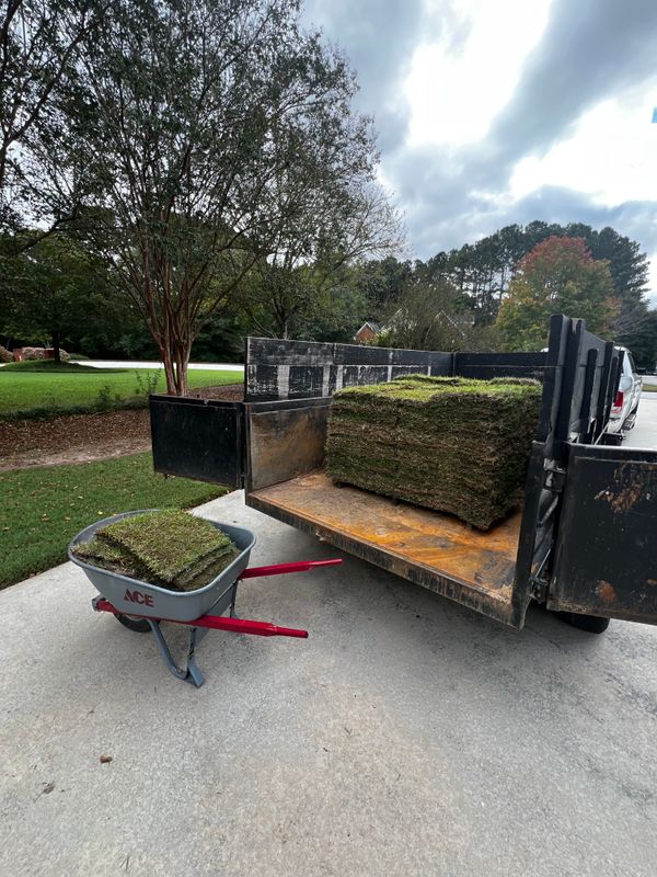 Sod installation