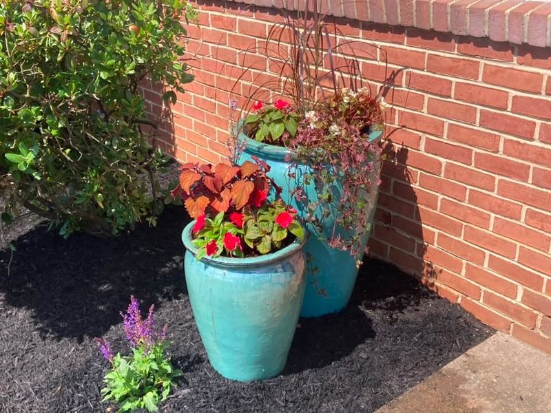 Landscape Install & Removal