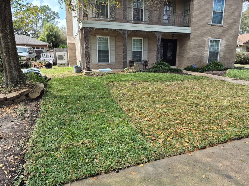 Lawn Maintenance