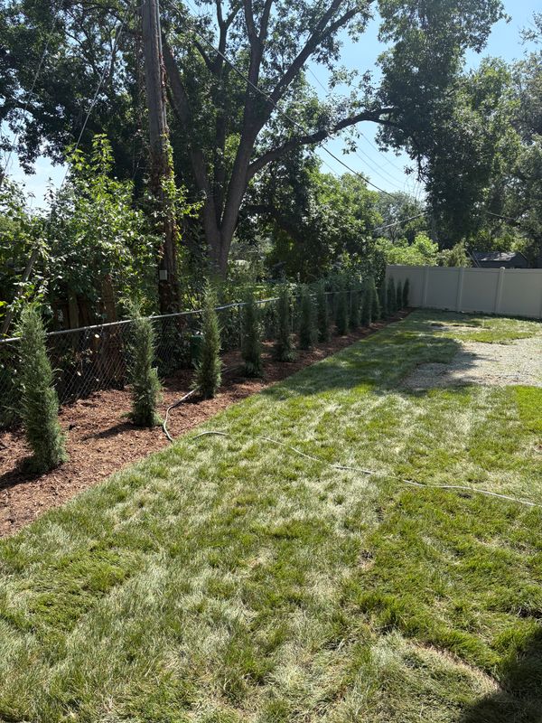 Transforming Ordinary Lawns into Lush Landscapes