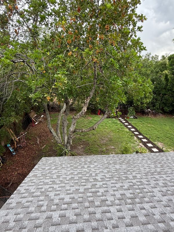 Tree Removal gallery