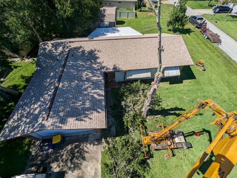Tree Removal