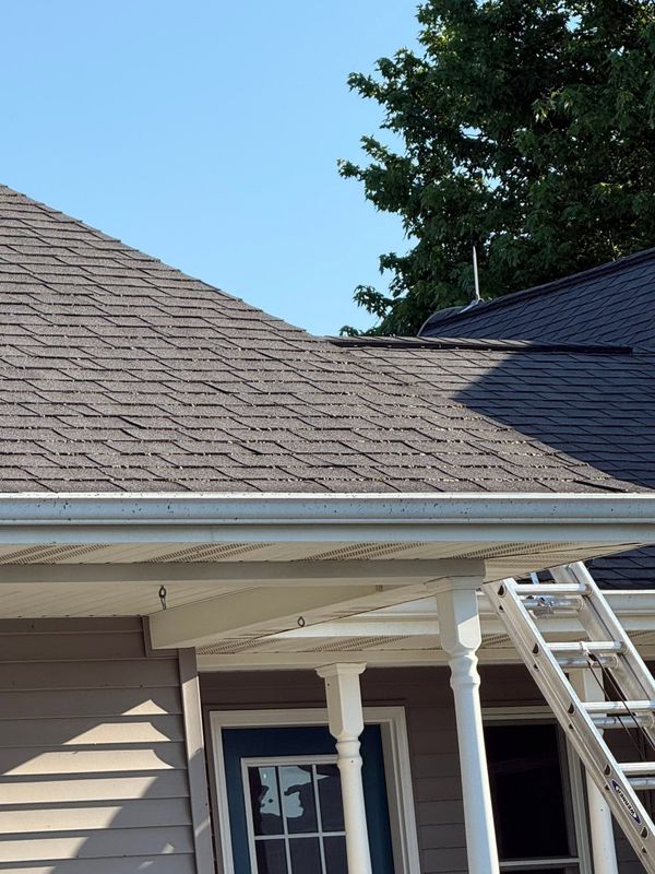 Deck and Patio Restoration