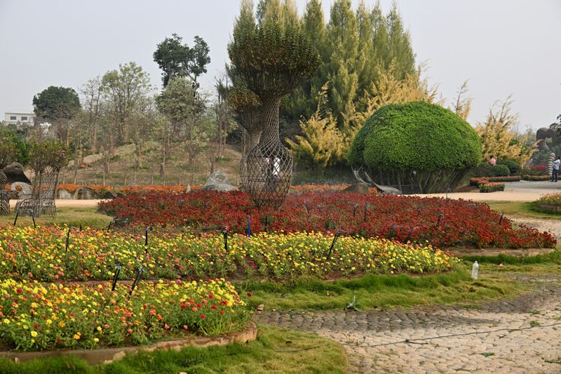 Landscape Design