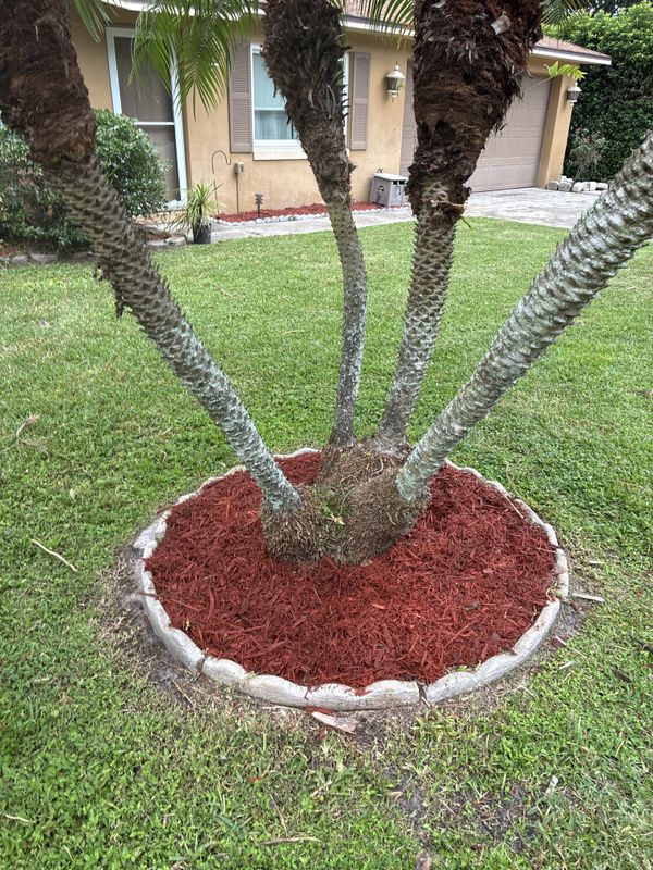 Garden Designs