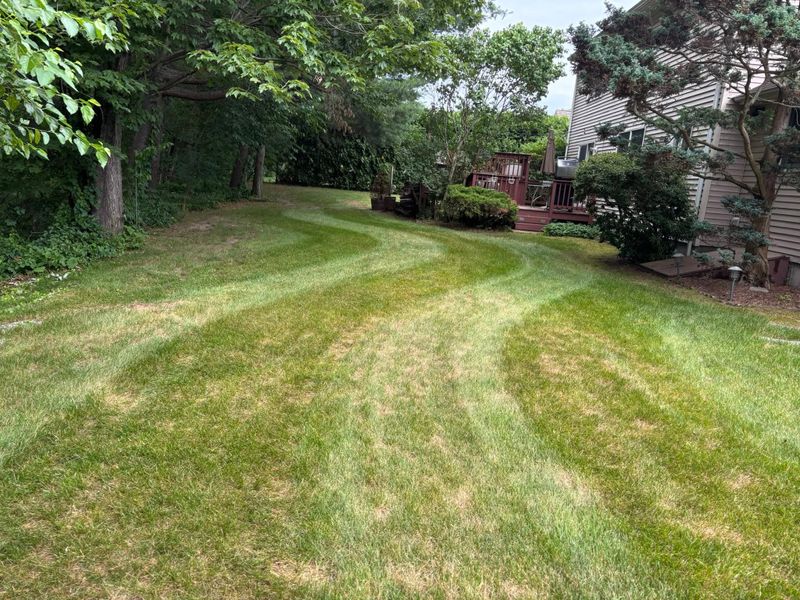 Landscape Design