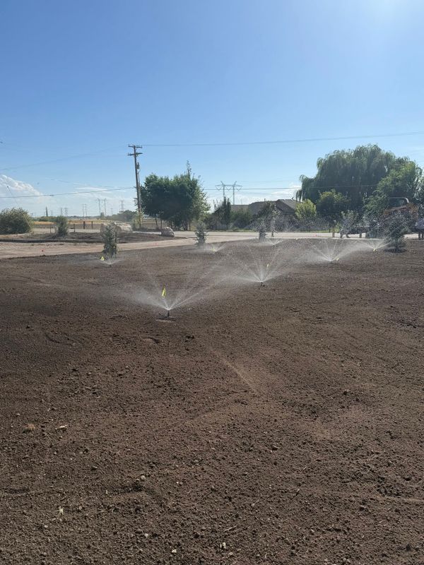 Zeroscaping & Xeriscaping Services