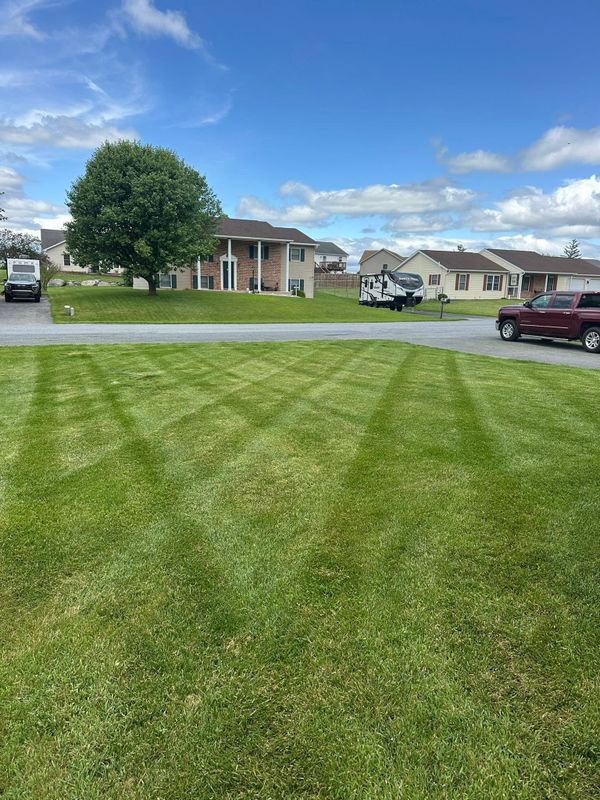 Lawn Maintenance