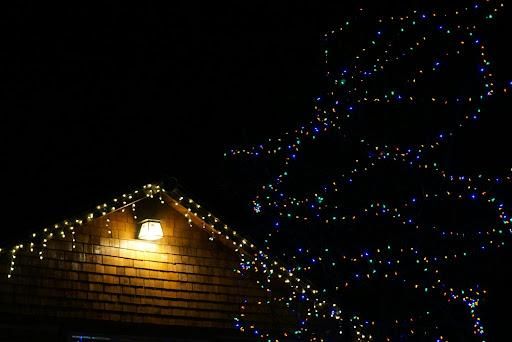 Landscape Lighting