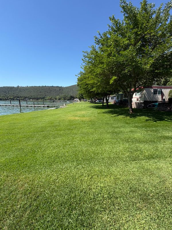Lawn Maintenance