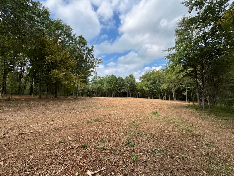 Land Clearing gallery