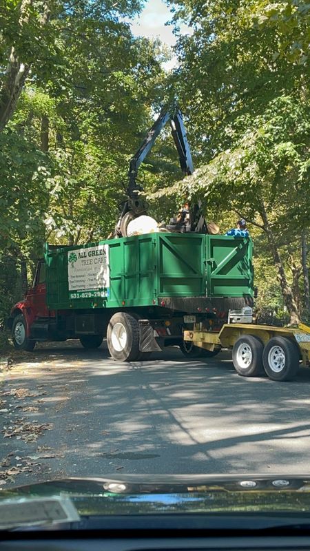 Tree Pruning