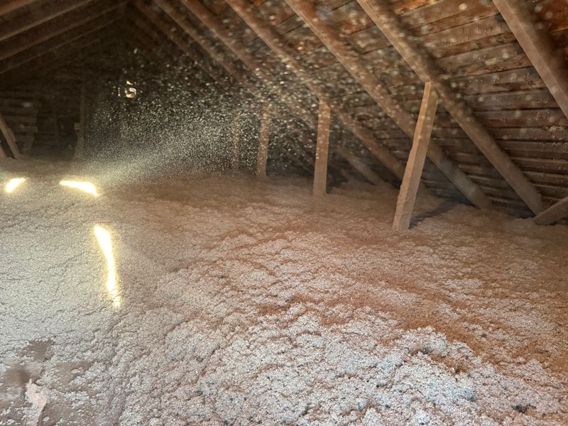 Crawlspace/Attic Renovation 