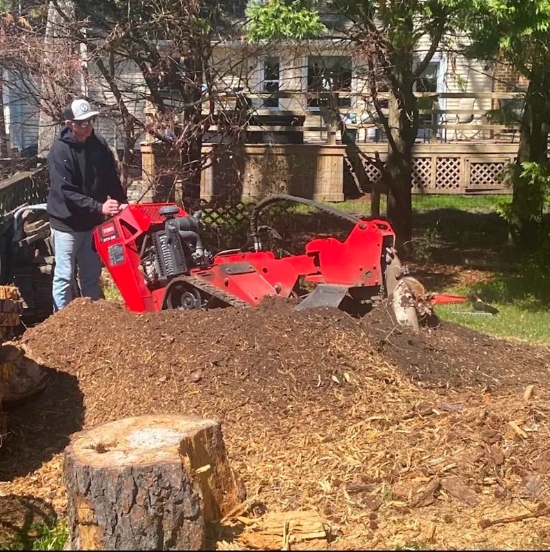 Stump Grinding