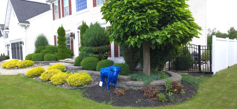 Landscape Installation & Design Photo