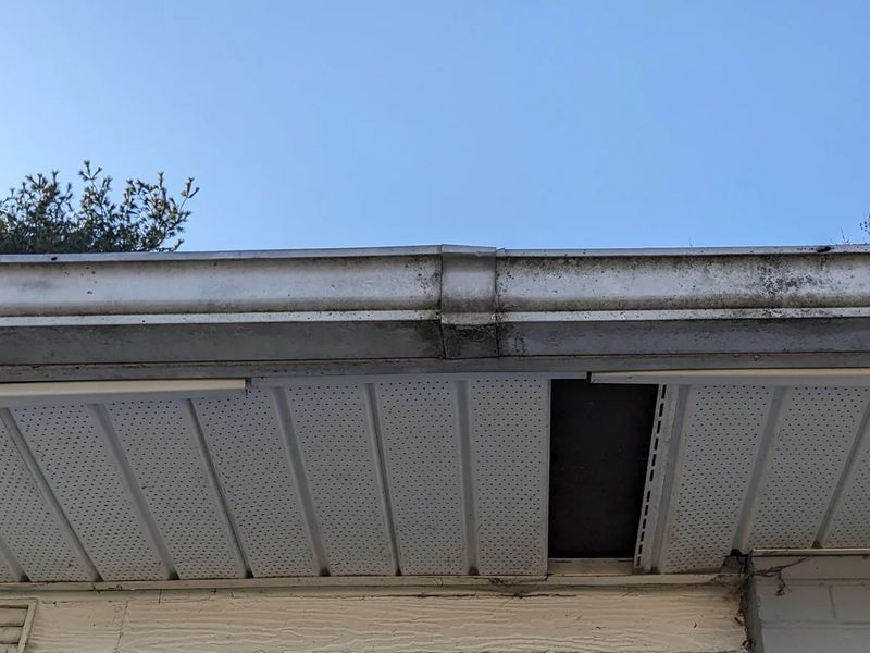 Gutter Cleaning