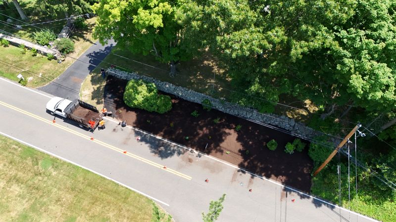 Plantings & Landscape Design