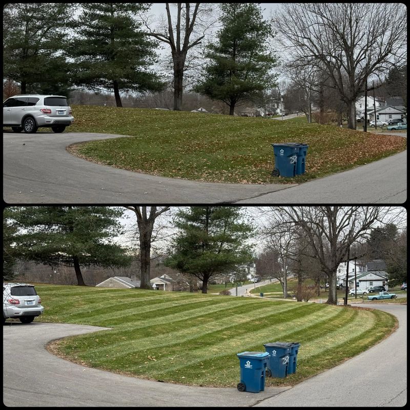 Lawn Mowing