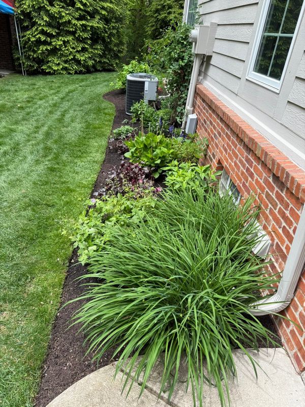 Garden Designs