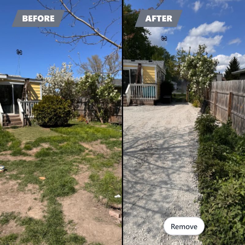Before & After
