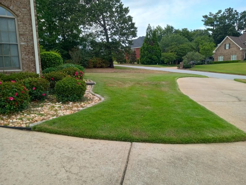 Landscape Design