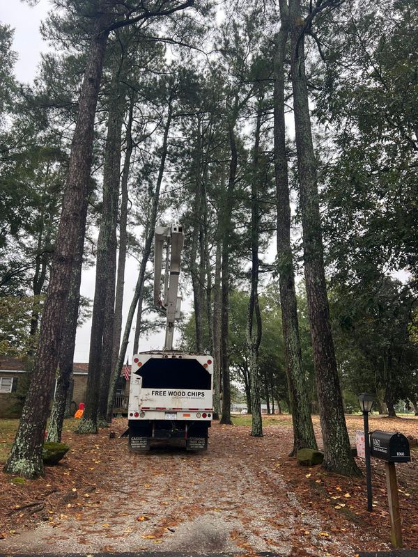 Fall Clean Up