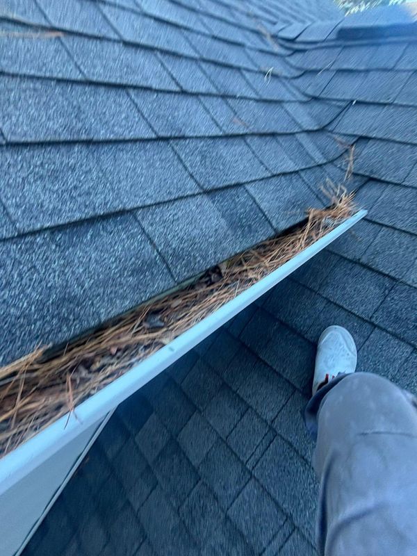 Gutter Cleaning