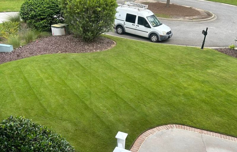 Lawn Care