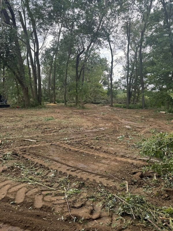 Land Clearing