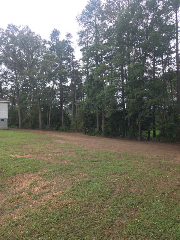 Land Clearing