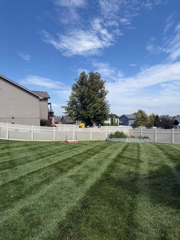Tree & Shrub Care