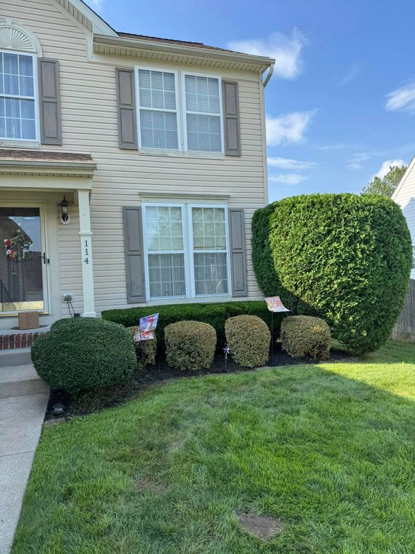 Landscaping 