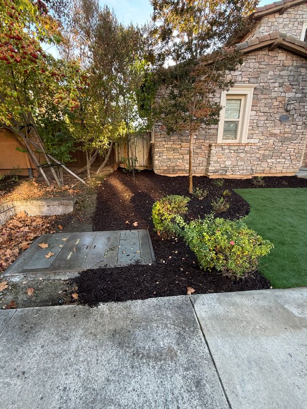 Landscaping