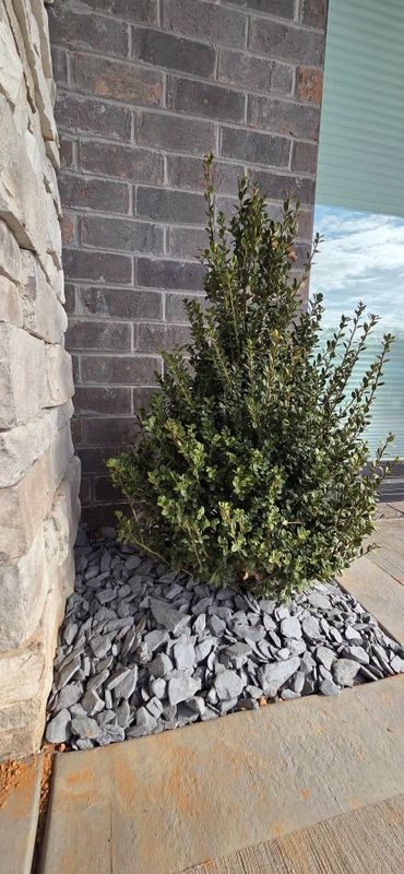 Hardscape Installation