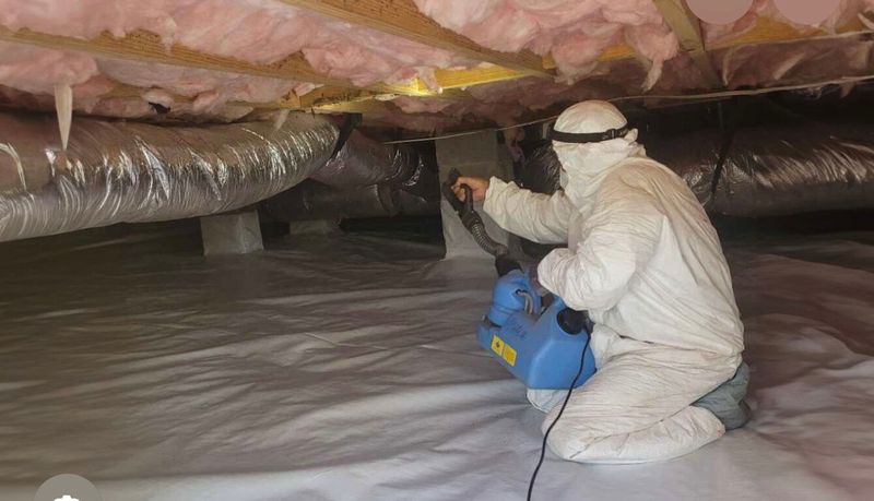 Basement Services