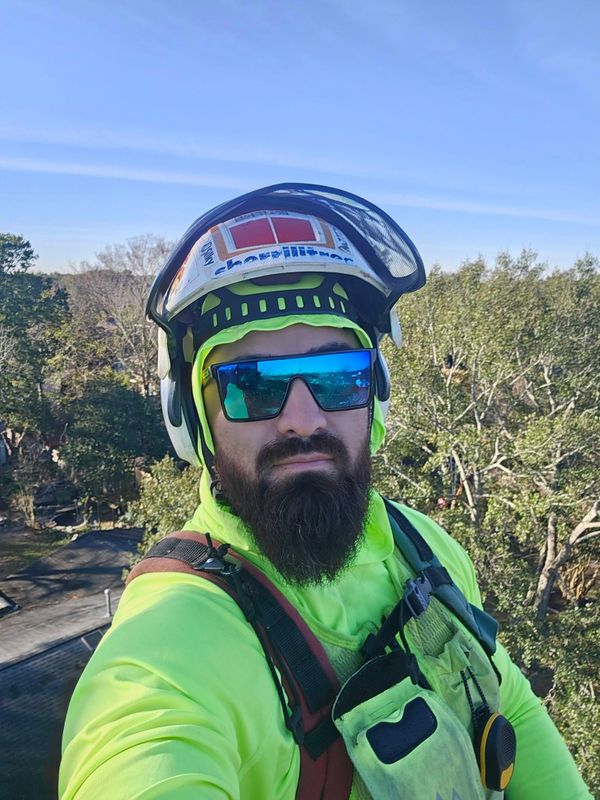Tree Trimming