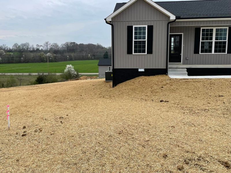 Land Clearing gallery
