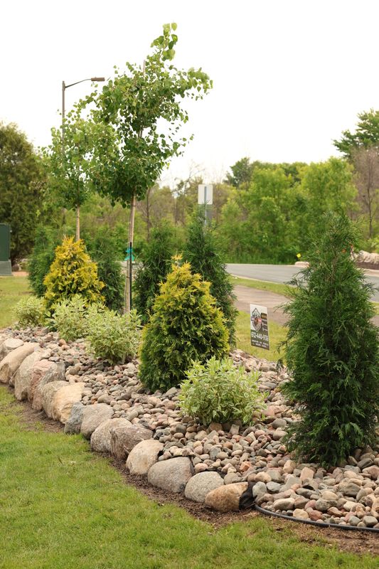 Landscape Design
