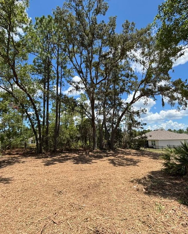 Land Clearing and Site Preparation